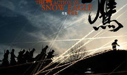 雪鹰电视剧演员表,实力派明星齐聚，演绎热血青春传奇